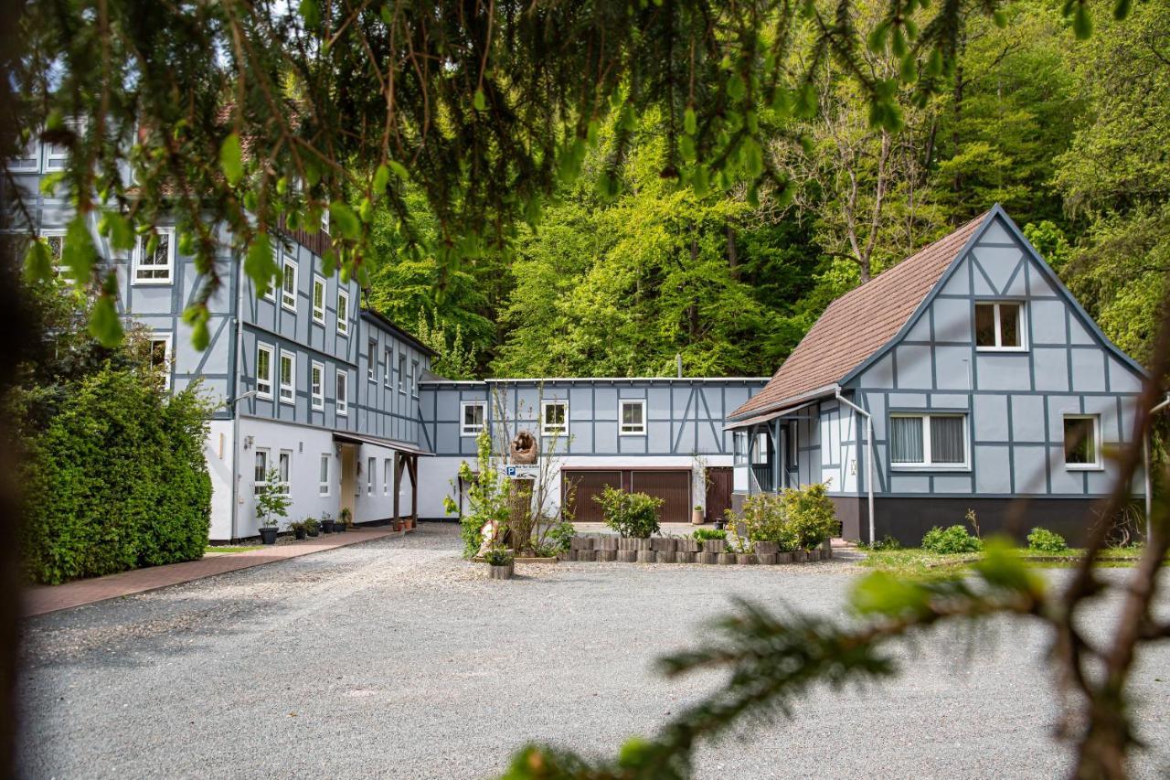 Harzpension Familie Mann Guest house 3*